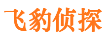 峡江市侦探调查公司